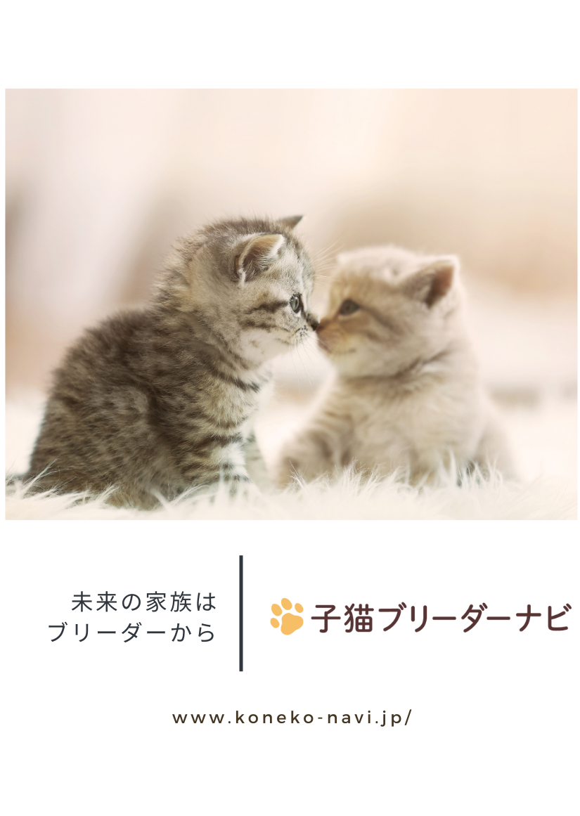キャロットケーキ