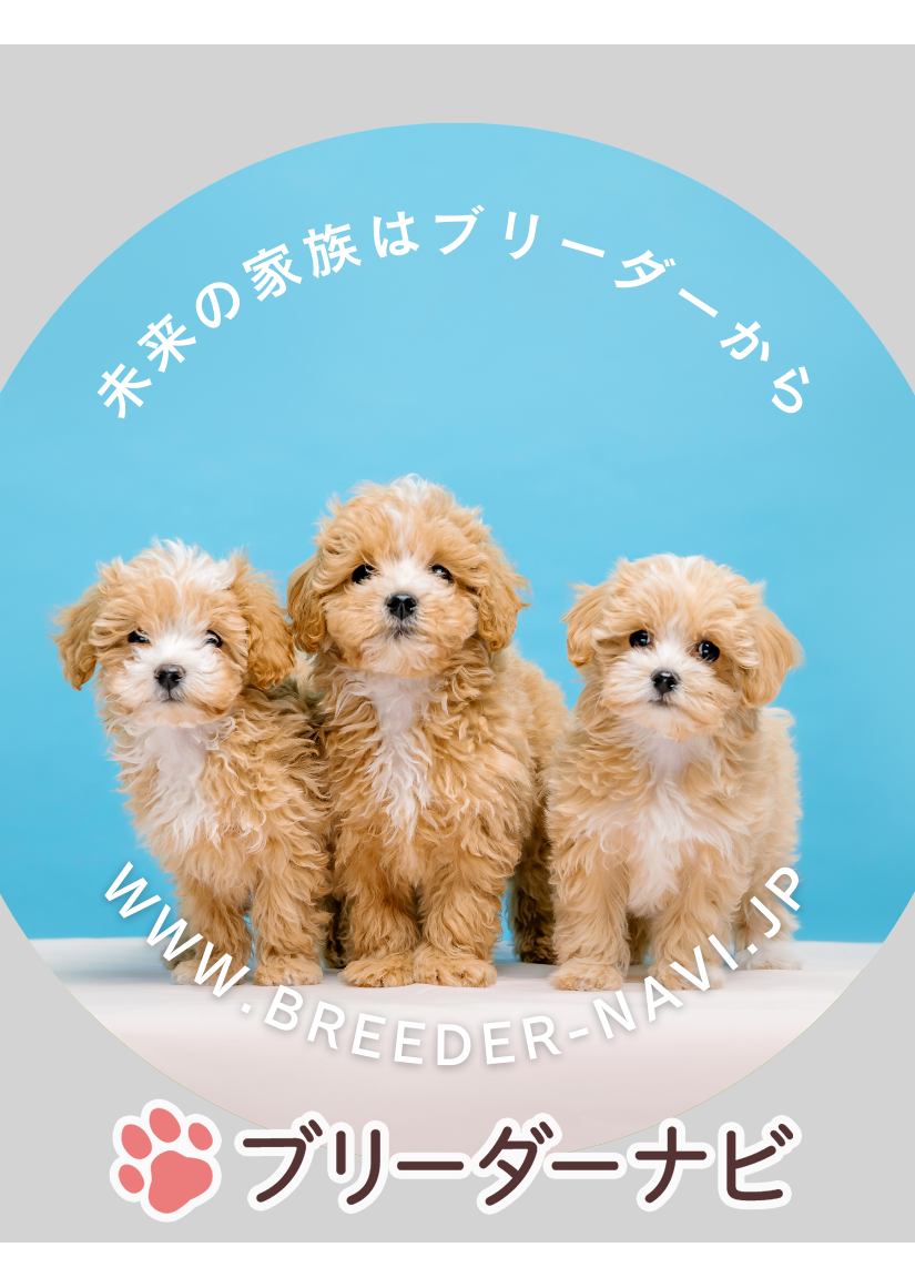 キャロットケーキ
